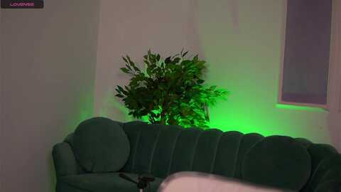 blackcloverx @ myfreecams on 20230924