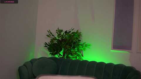 blackcloverx @ myfreecams on 20230925