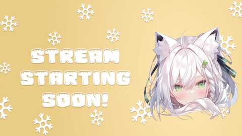 snowkitty @ myfreecams on 20230925
