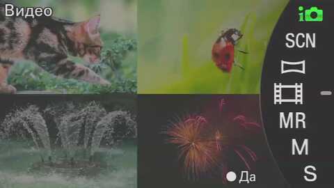 alicexsweet @ myfreecams on 20230926