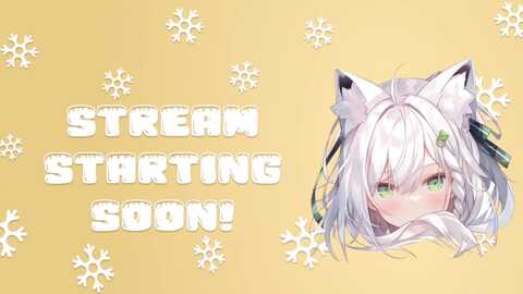 snowkitty @ myfreecams on 20230928