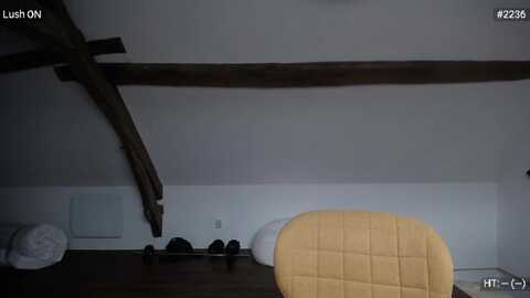 bootysaur @ myfreecams on 20230929