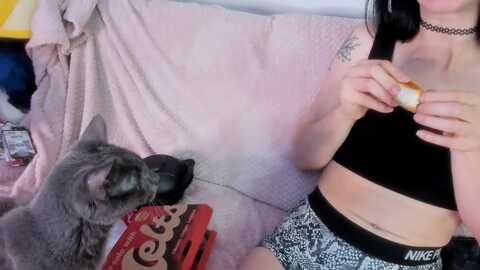 isabelle_babe @ myfreecams on 20230929