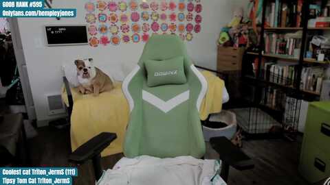 hempleyjones @ myfreecams on 20230930