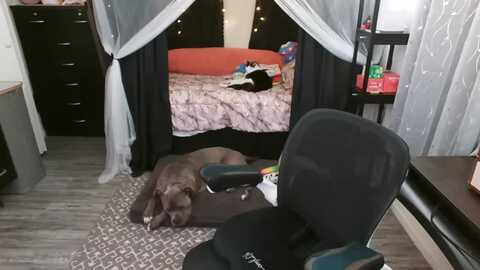 eight_bit @ myfreecams on 20231001