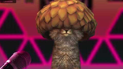 meows @ myfreecams on 20231001