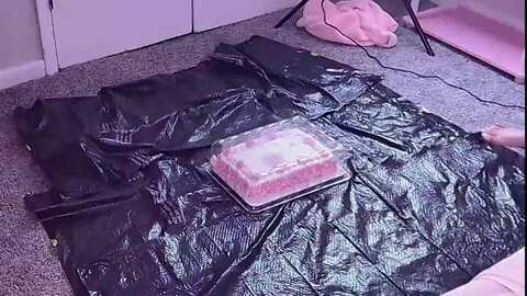 spideynips @ myfreecams on 20231001