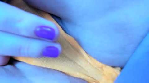 aeena @ myfreecams on 20231003