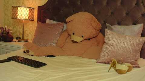 phoenyxbird @ myfreecams on 20231003
