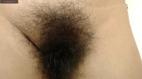 sweet_barbiie @ myfreecams on 20231004