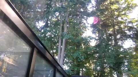 testcam97 @ myfreecams on 20231005