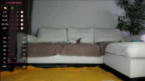 littlewetgirl @ myfreecams on 20231006