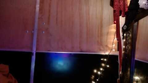 slothyfoxy @ myfreecams on 20231006