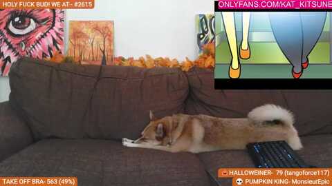 kat_kitsune @ myfreecams on 20231007