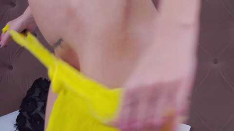 rockndiamond @ myfreecams on 20231007