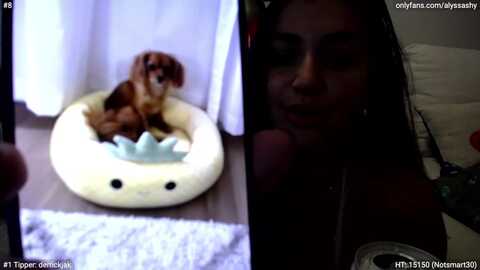 alyssashy @ myfreecams on 20231008