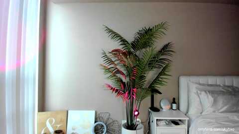 skyb_ @ myfreecams on 20231008