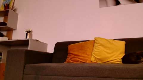 ana_rose @ myfreecams on 20231009