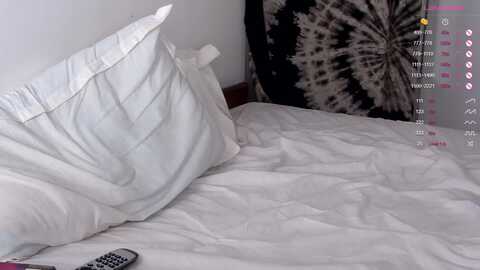 mariamercada @ myfreecams on 20231009