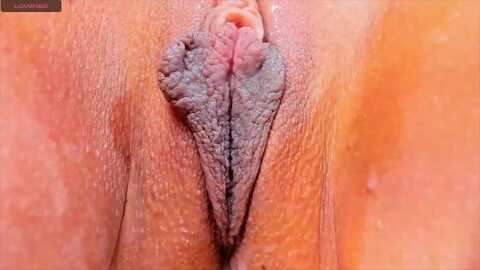 pollyjayms @ myfreecams on 20231009