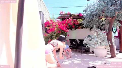 komobear @ myfreecams on 20231010