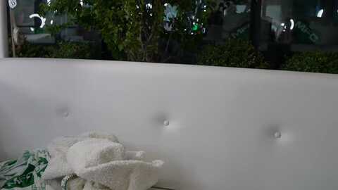 lilstorm @ myfreecams on 20231010