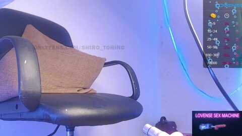 cottoncandy @ myfreecams on 20231011