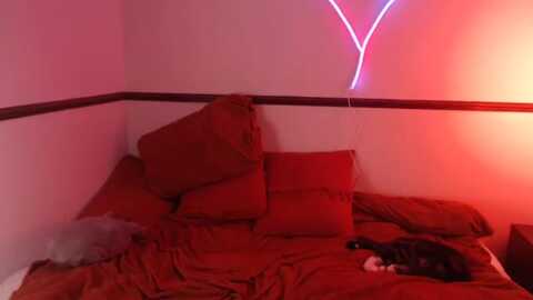 kittycash3w @ myfreecams on 20231011