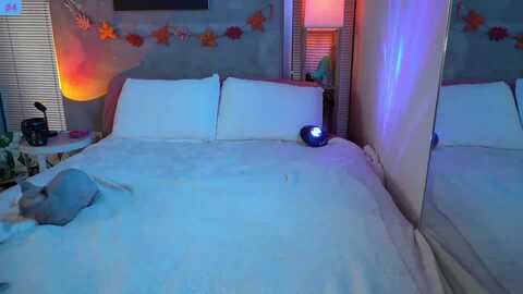 snowkitty @ myfreecams on 20231011