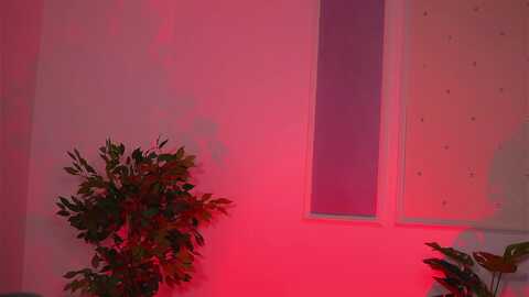 blackcloverx @ myfreecams on 20231012