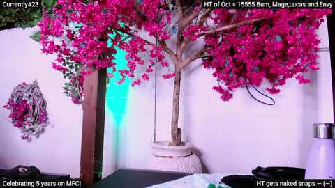 mollymayhem @ myfreecams on 20231012