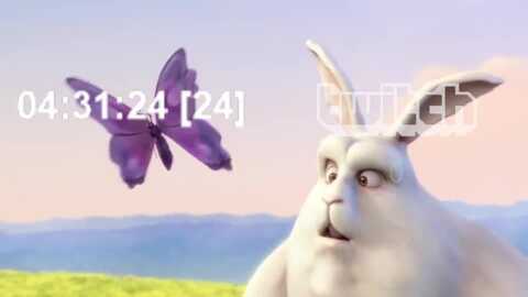 testcamt @ myfreecams on 20231012