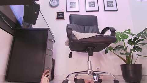 alissagodess @ myfreecams on 20231013