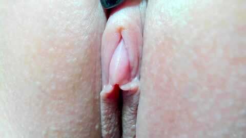 elysi_ @ myfreecams on 20231013