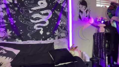 rileywoods @ myfreecams on 20231013