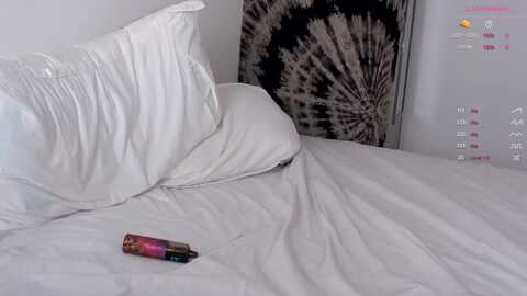 mariamercada @ myfreecams on 20231015