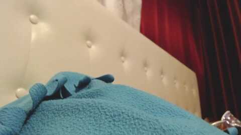 danacougar @ myfreecams on 20231018