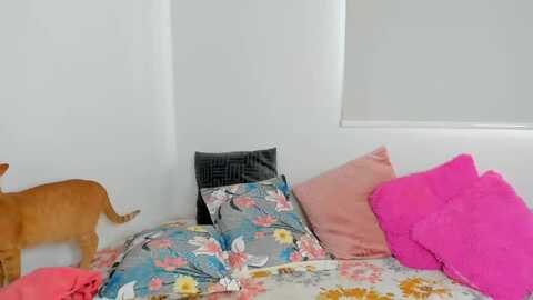 nahomismith @ myfreecams on 20231019