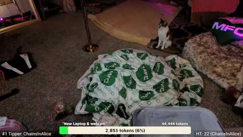 avamonroe_ @ myfreecams on 20231020