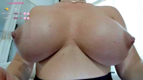 ariana_ss