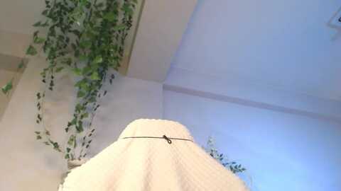 miichell_star @ myfreecams on 20231024