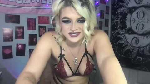 msbrandyjack @ myfreecams on 20231026