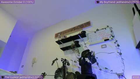 catelinecane @ myfreecams on 20231028