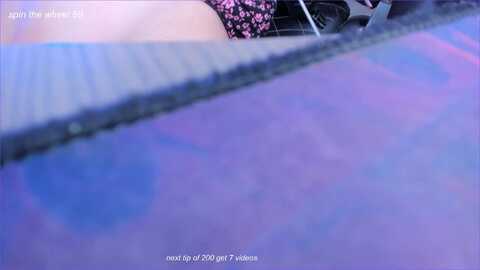 fun_for_cash @ myfreecams on 20231028