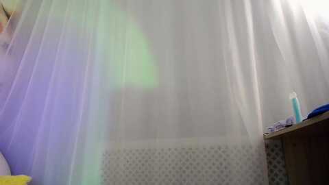 greybunny @ myfreecams on 20231029
