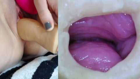 danigirl866 @ myfreecams on 20231031