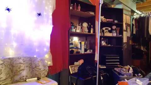 littlemisszee @ myfreecams on 20231031