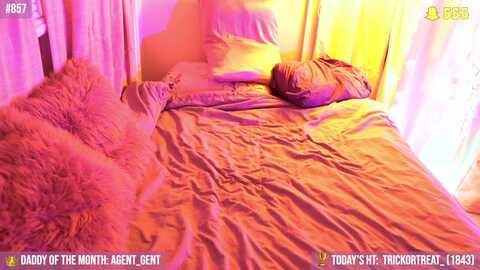 noma_hill @ myfreecams on 20231101