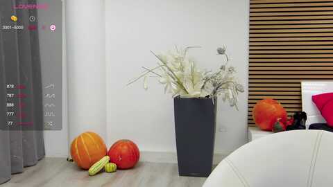 squirrel_mfc @ myfreecams on 20231102