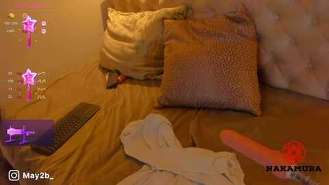 nakamura_sanz @ myfreecams on 20231104